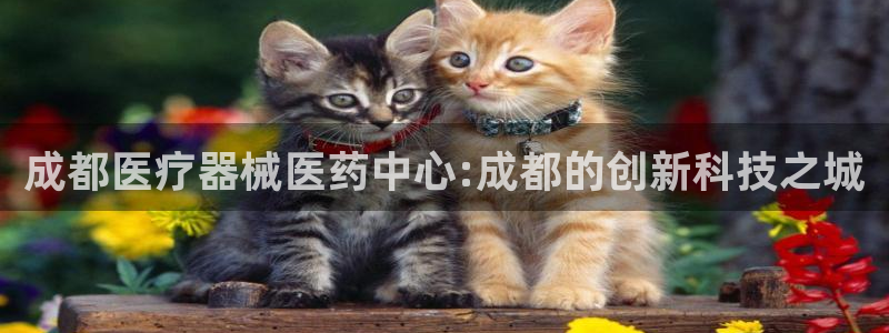 恒行开户全2O5o5O