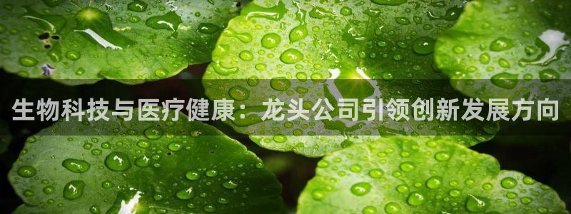 恒行2韩74OOO5