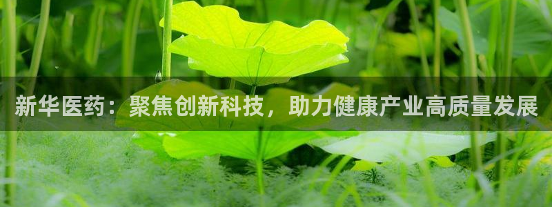 恒行娱乐见5ll533主管