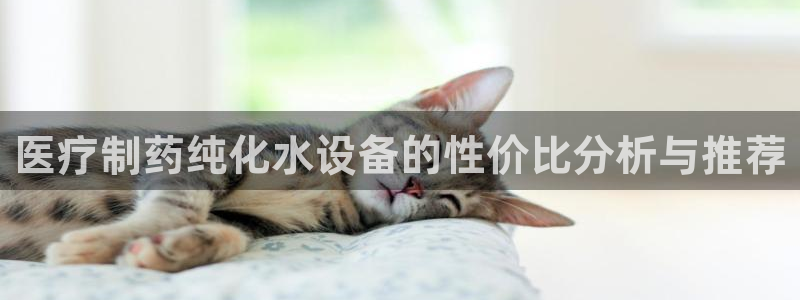 恒行娱乐毓婆74ooo5仪