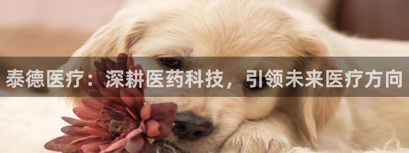 恒行娱乐5ll533主管耐心