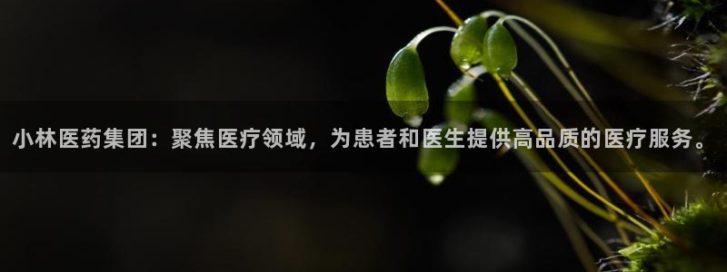 恒行娱乐寻问74 5