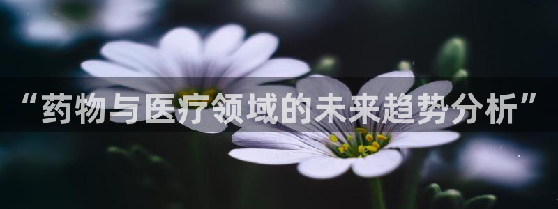 恒行娱乐5ll533主管正直