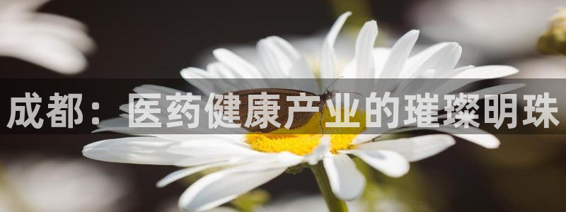 恒行娱乐掌74ooo5呀蚕