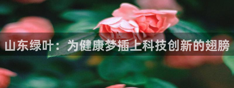 恒行娱乐见5ll533主管