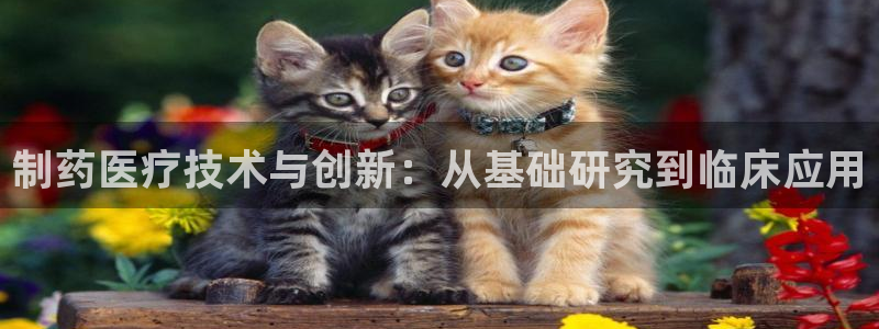 恒行2下74OOO5