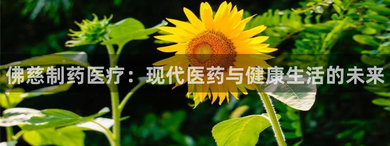恒行2那74OO5