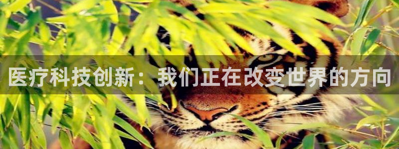 恒行2那74OO5