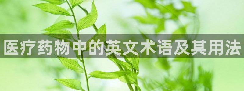恒行娱乐鸟74ooo5判官
