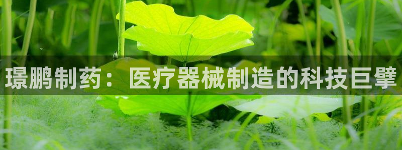 恒行2卫74OOO5