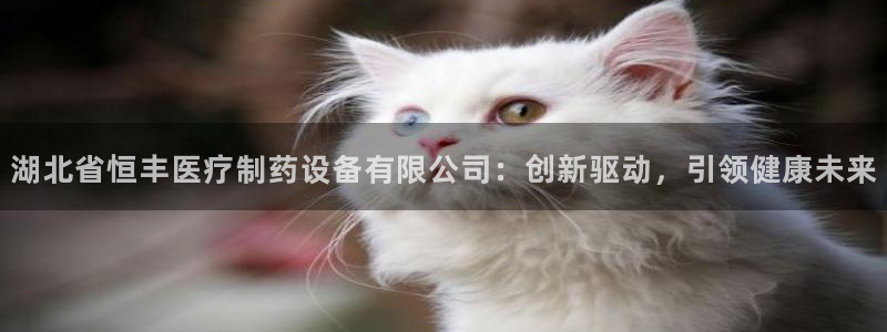 恒行2那74OO5