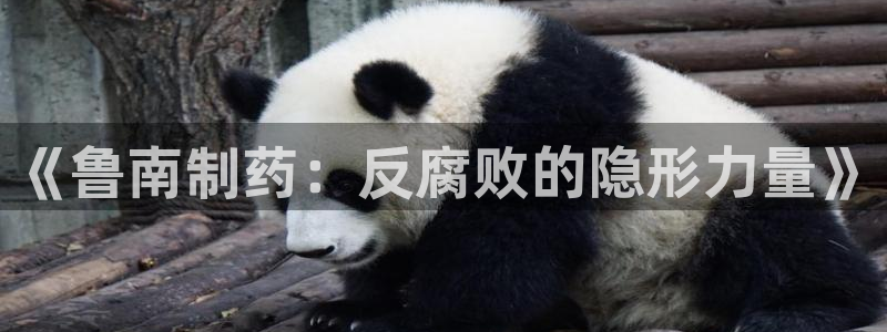 恒行彩票亏5千