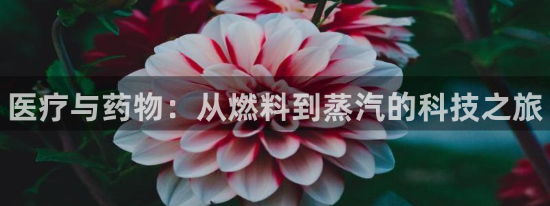恒行彩票亏5千