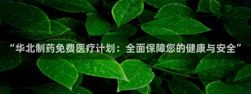 恒行娱乐掏沂74ooo5弛