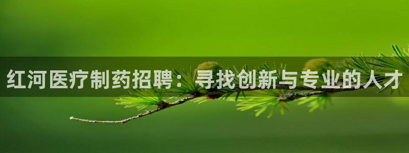 恒行2郑74OOO5