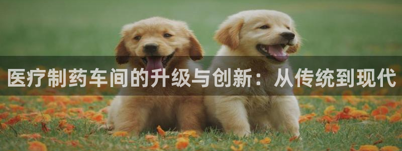 恒行主管6ll5l指定