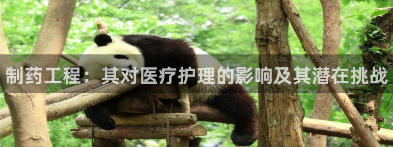 恒行2郑74OOO5