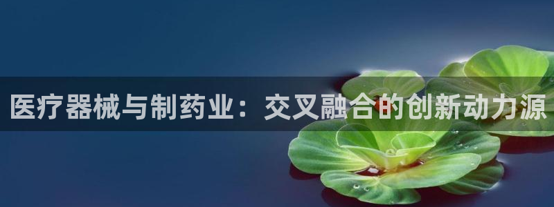 恒行娱乐5ll533主管正直