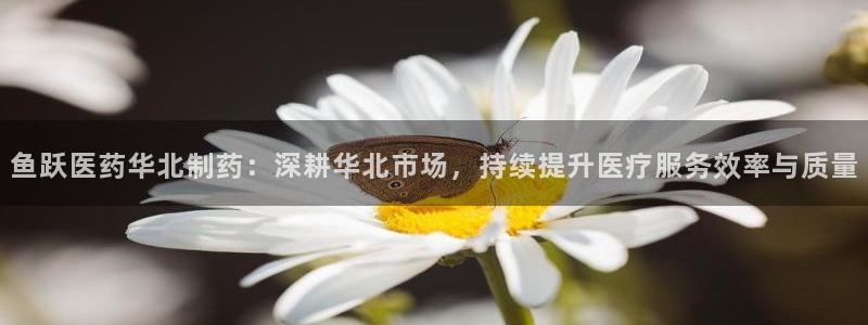 恒行娱乐蒋74OOO5