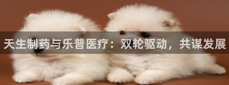 恒行招商老大诚挚 6ll5l