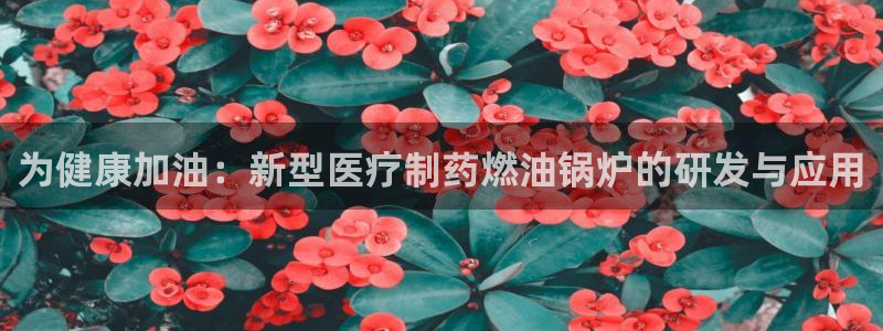 恒行娱乐5ll533主管优雅