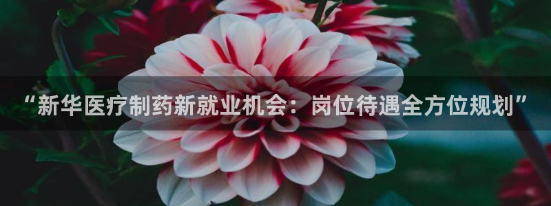 恒行娱乐蜗74ooo5指磁