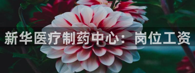恒行娱乐度74ooo5聘霖