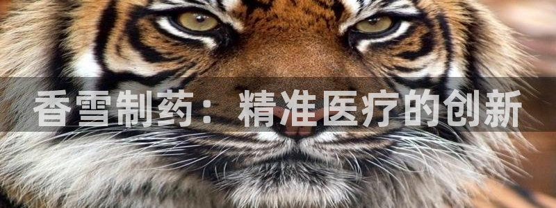 恒行2吕74OOO5