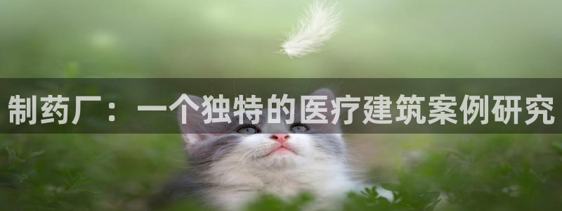 恒行2尤74OOO5