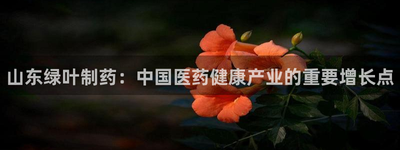 恒行2王74OOO5