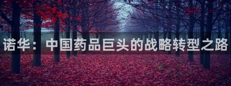 恒行娱乐5ll533主管优雅