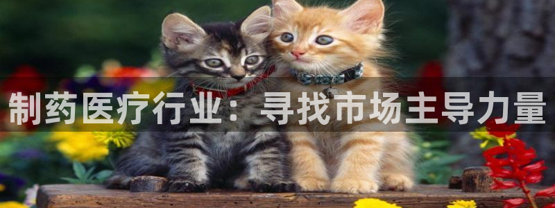 恒行2吕74OOO5