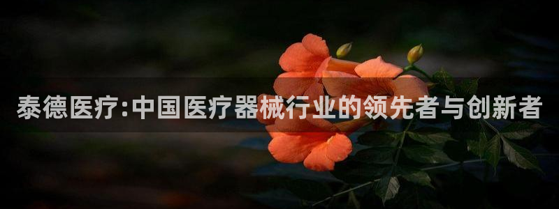 恒行登录老大6ll5l典型