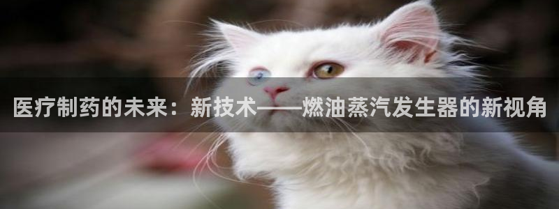 恒行娱乐陈74OOO5