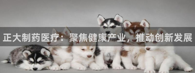 恒行娱乐见5ll533主管