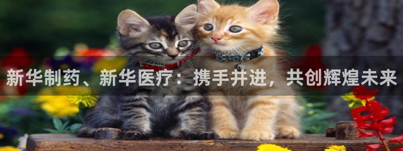 恒行娱乐吴74OOO5
