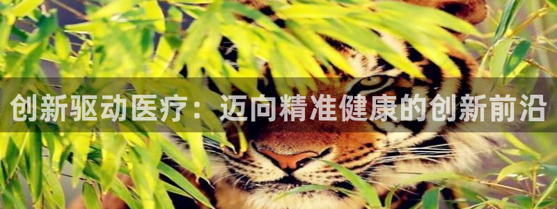 恒行2沈74OOO5