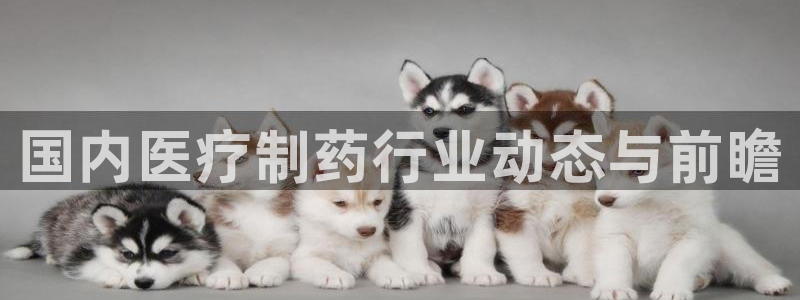 恒行登录老大6ll5l典型