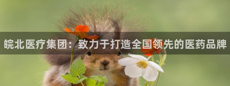 恒行登录老大6ll5l典型