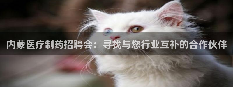 恒行主管招收 6ll5l出奇