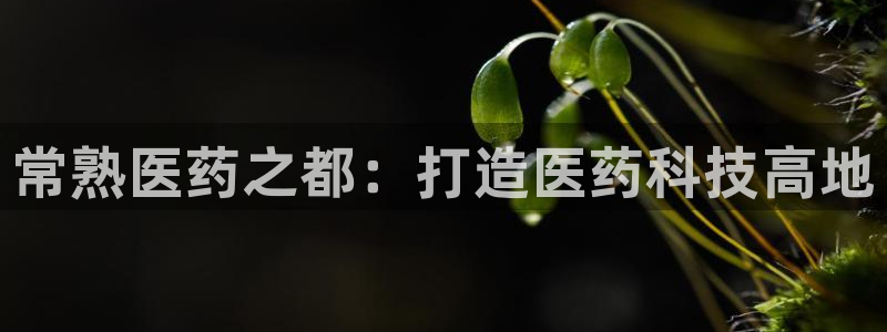 恒行娱乐招收点赞5ll533主管