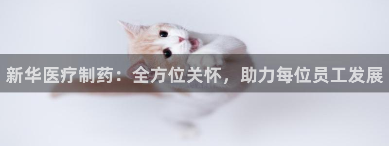 恒行登录老大6ll5l典型