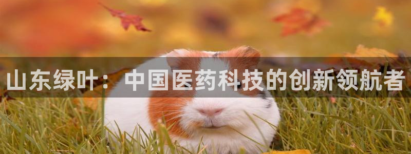 恒行主管首问6ll5l